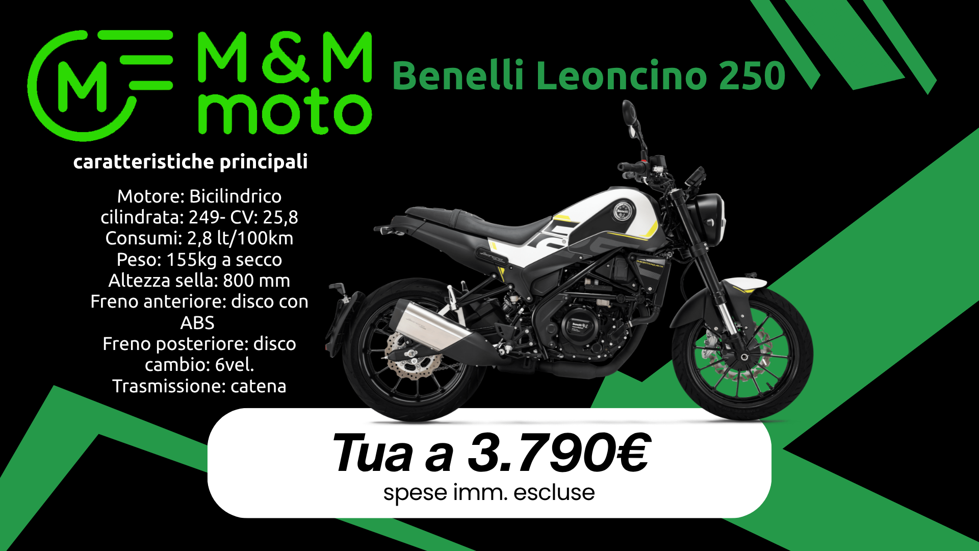 Benelli Leoncino 250 mm moto